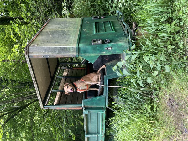 Rhea in Italië